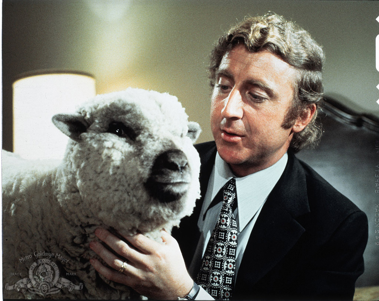 Gene Wilder - Everything You Always Wanted to Know About Sex* But Were Afraid to Ask, 1972, fot. materiały prasowe MGM